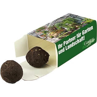 Pflanzenkugeln Earth