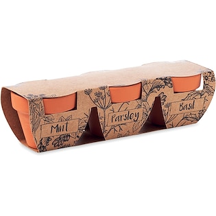 Topfpflanze Fairfield