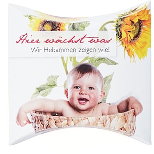 Pflanzen-Kit Sunshine