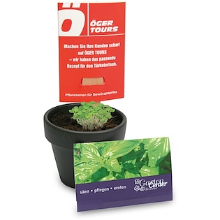 Holzstäbchen mit Samen Holland